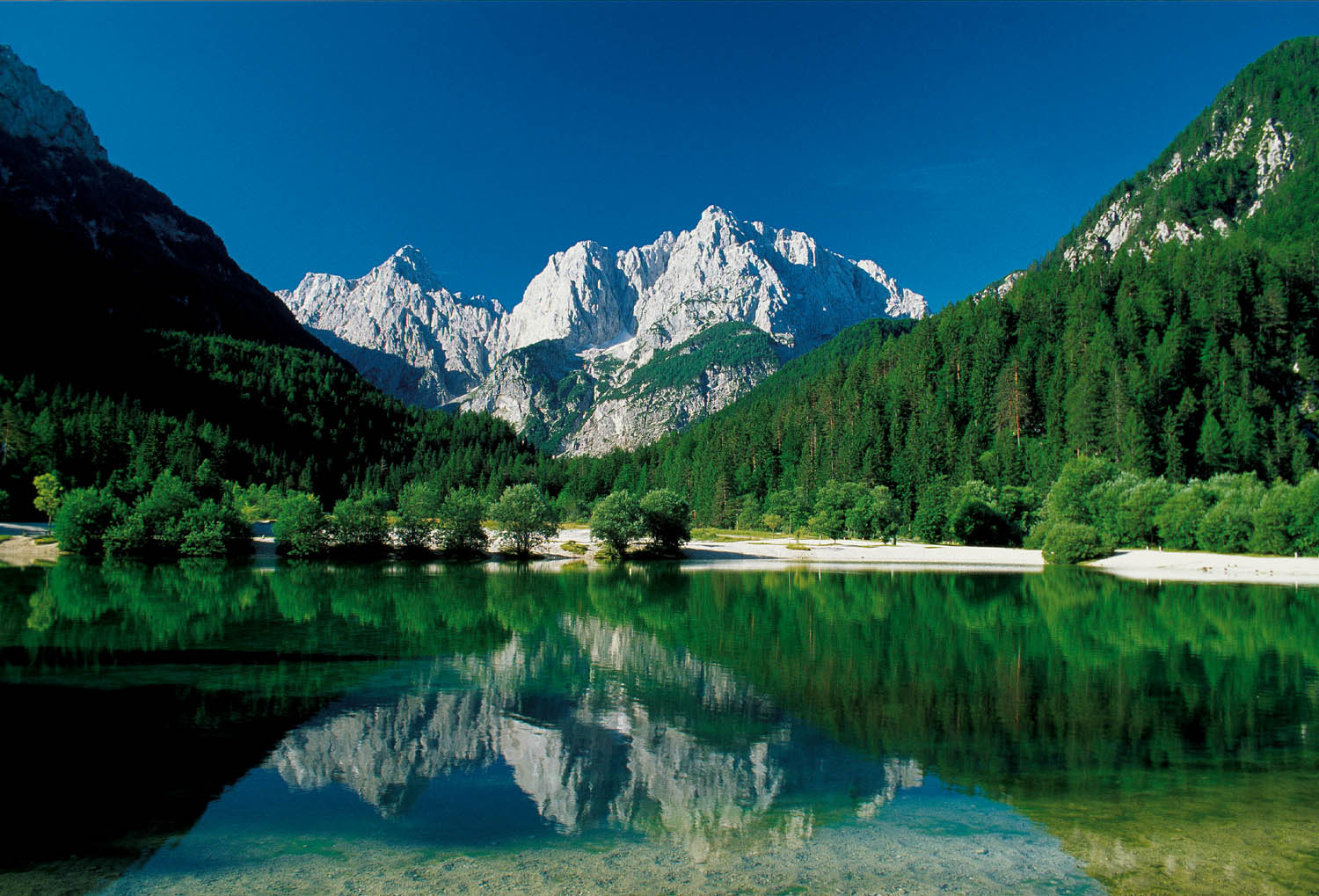 Zelenci